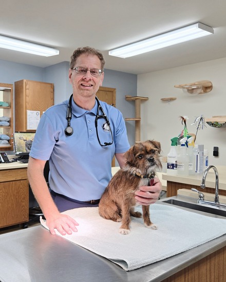 Dr. Shepherd and Harbee Dr. Shepherd and Harbee