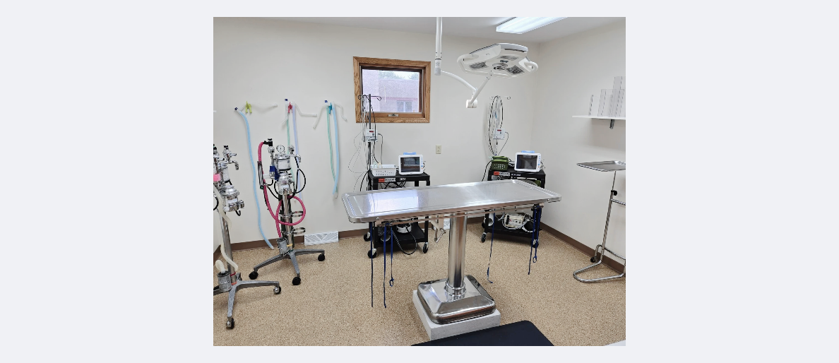 Surgery Suite